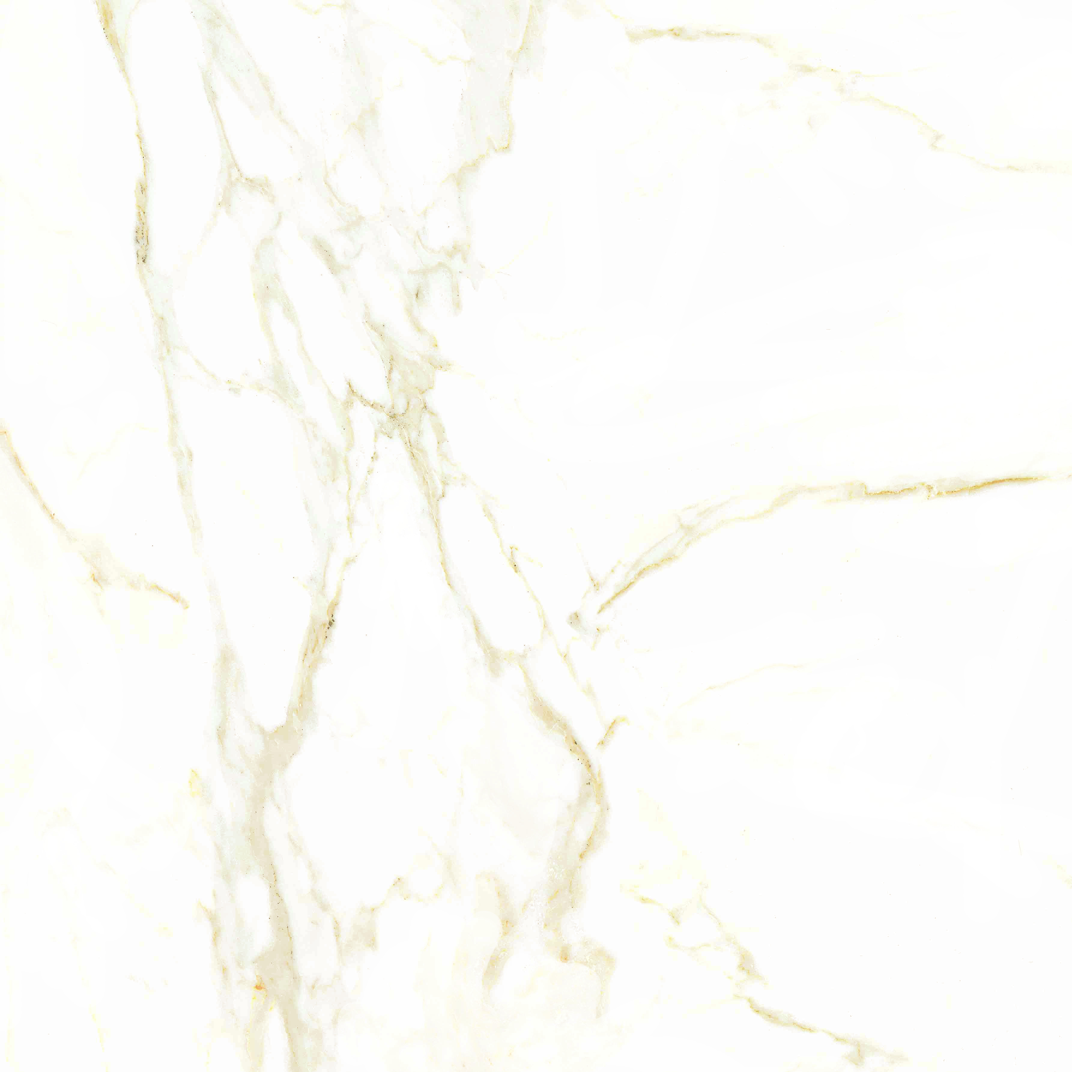 INFINITI Carrara Gold 60x60